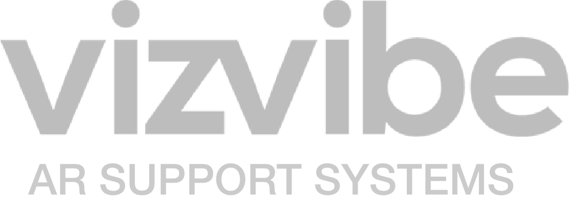 VizVibe logo